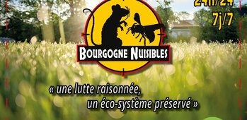 BOURGOGNE NUISiBLE 